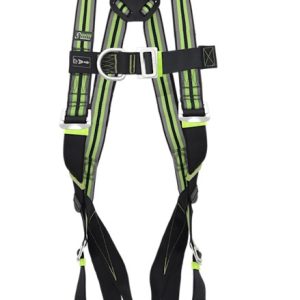 aresta 2 point harness with standard buckles (copy)